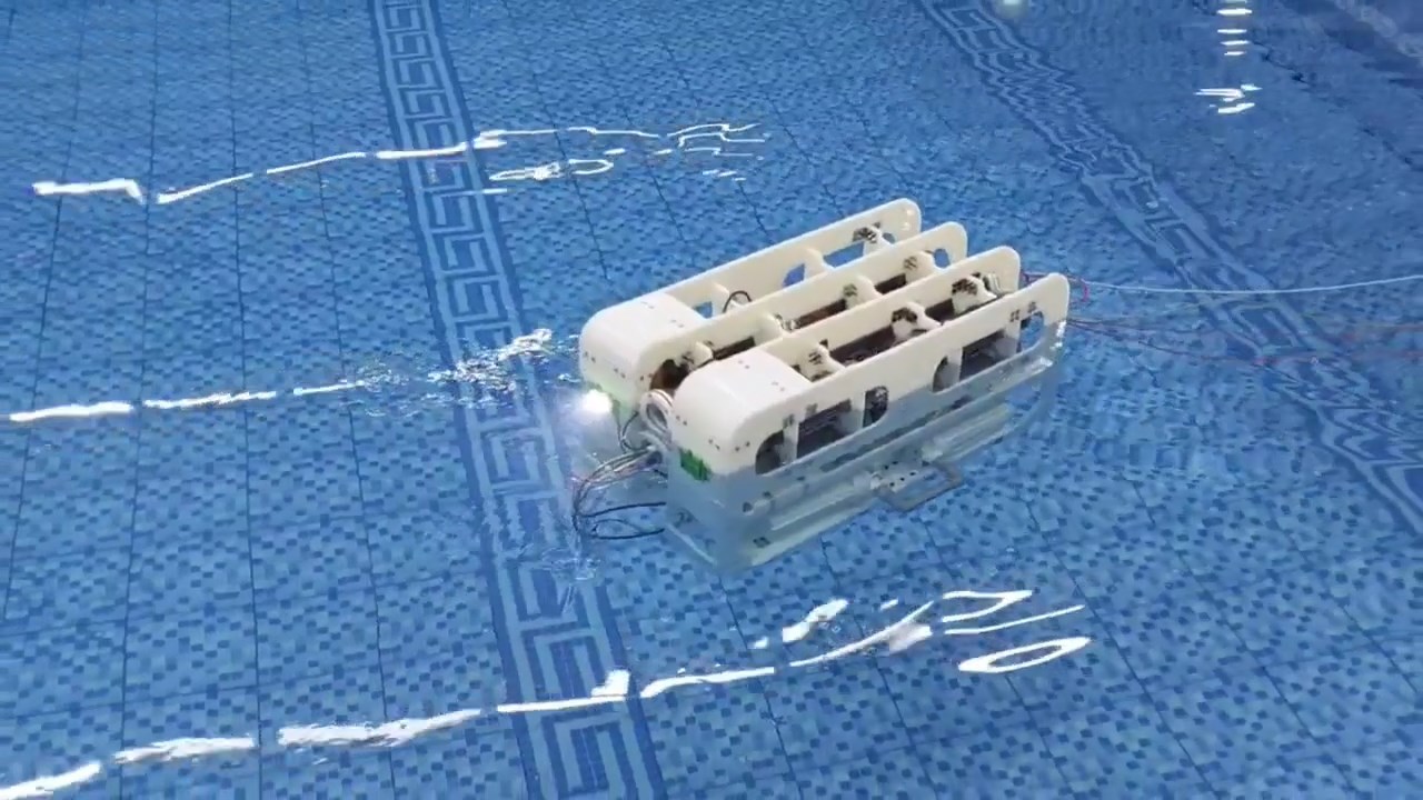 WhatsApp Image 2026 02 16 at 11.56.57 AM 4