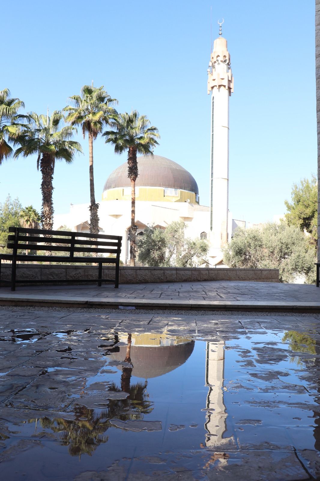 WhatsApp Image 2026 03 19 at 10.14.04 AM