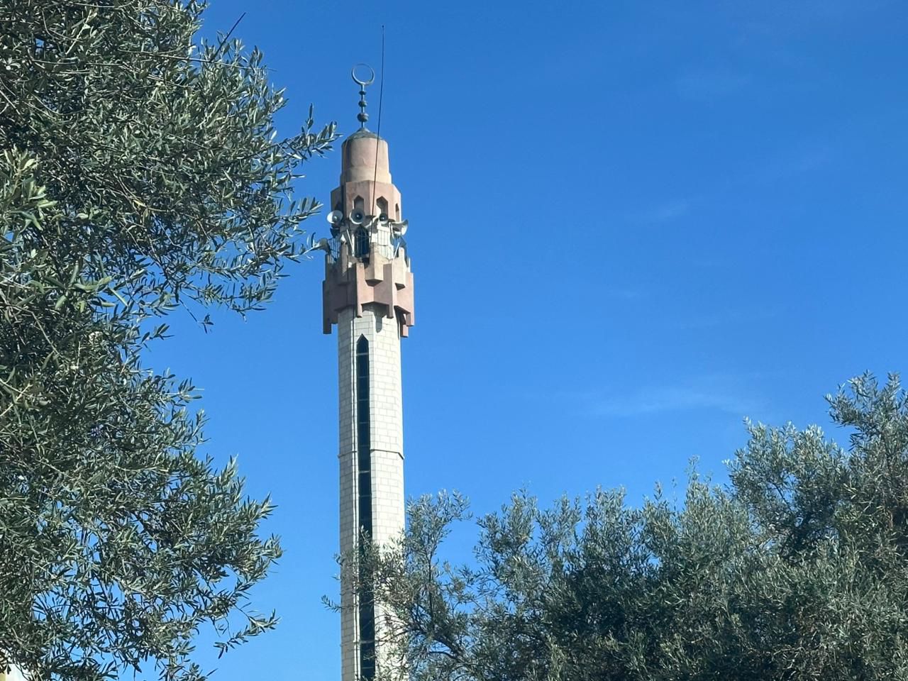 WhatsApp Image 2026 03 19 at 9.39.05 AM